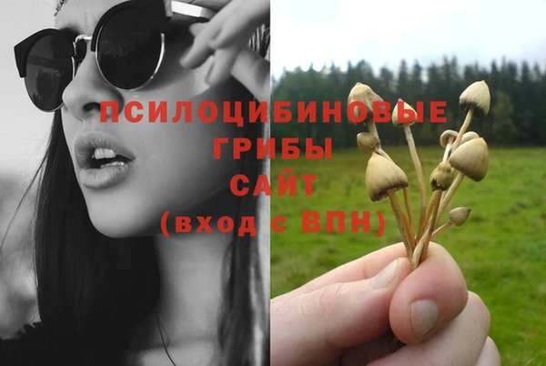 PSILOCYBIN Инта