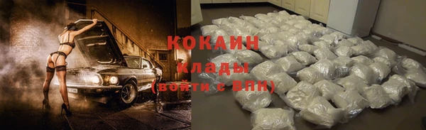 стаф Инсар