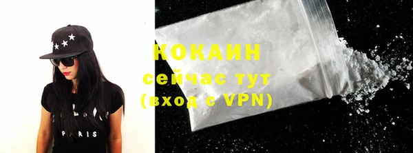 PSILOCYBIN Инта