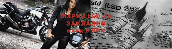 стаф Инсар